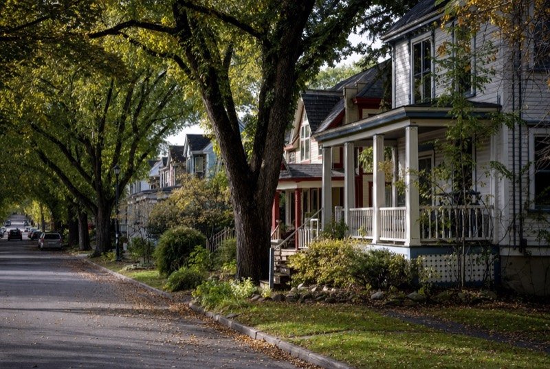 A quiet street of older two-storey wooden houses with front verandas under tall arching elms in early autumn